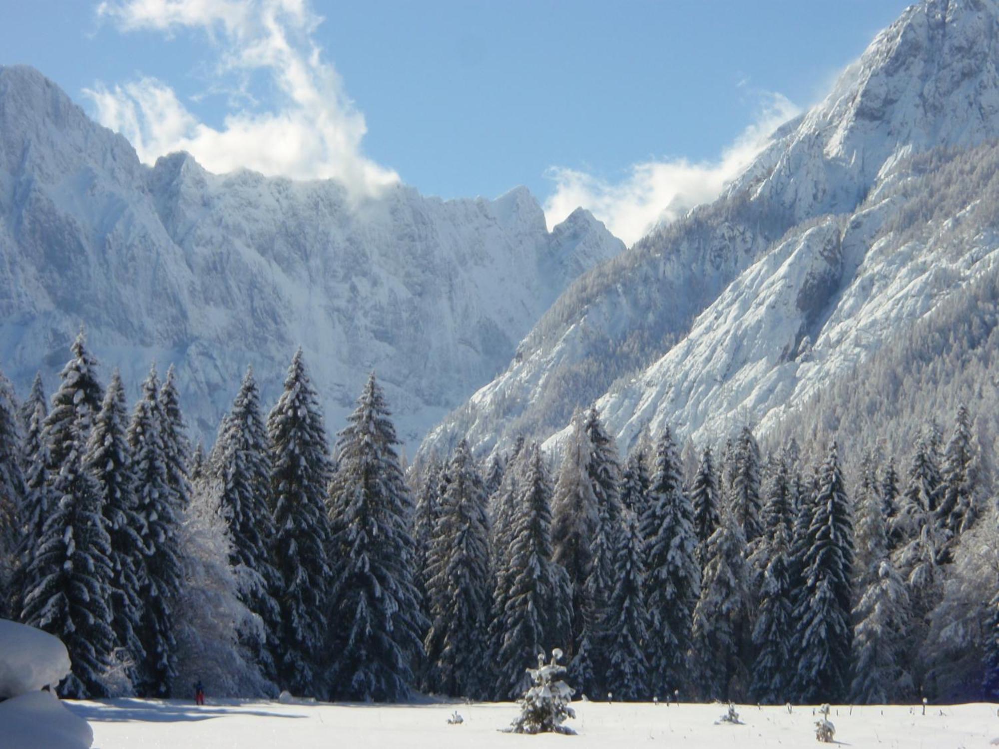 Tempfer 2 Apartments & Rooms With New Wellness Kranjska Gora Exteriör bild