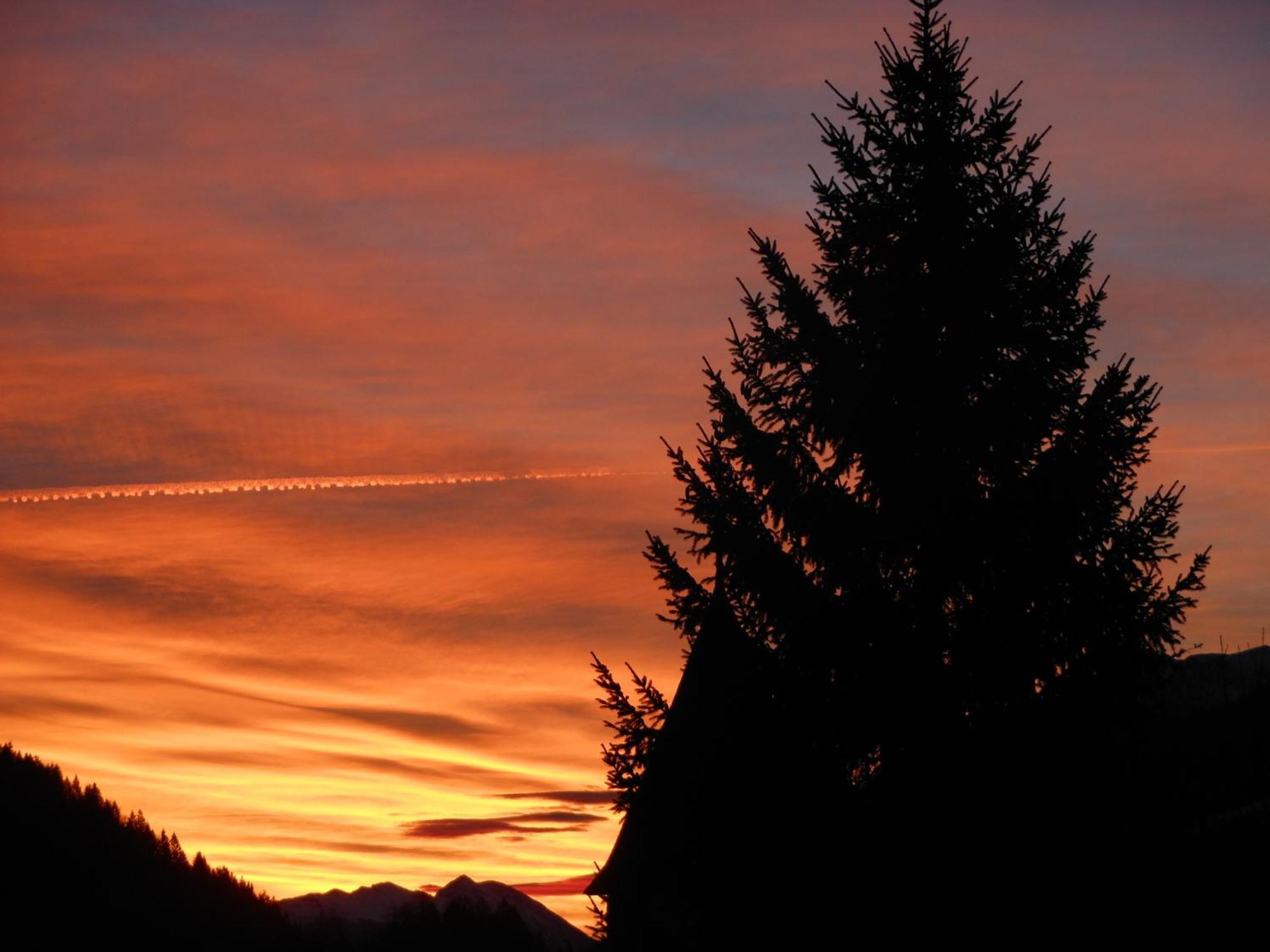 Tempfer 2 Apartments & Rooms With New Wellness Kranjska Gora Exteriör bild