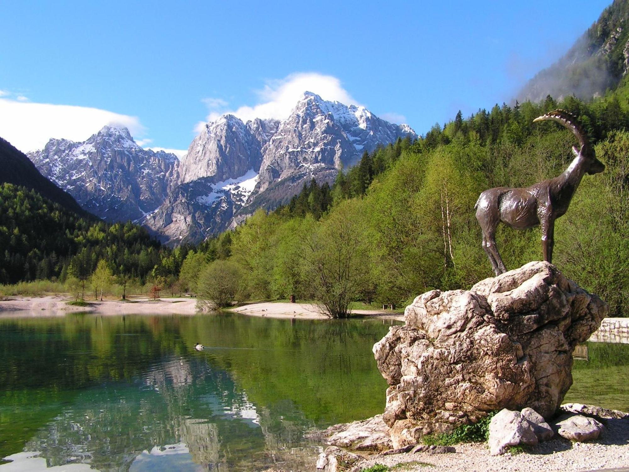 Tempfer 2 Apartments & Rooms With New Wellness Kranjska Gora Exteriör bild