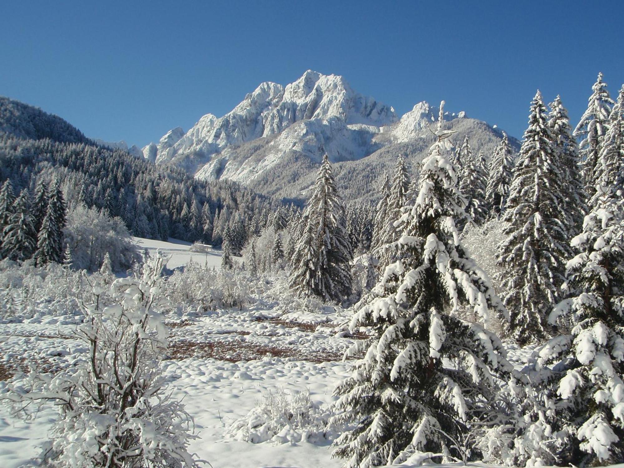 Tempfer 2 Apartments & Rooms With New Wellness Kranjska Gora Exteriör bild