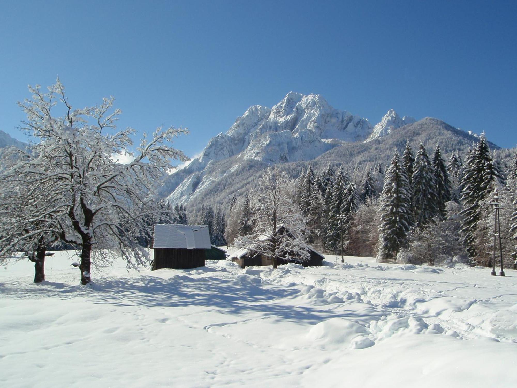 Tempfer 2 Apartments & Rooms With New Wellness Kranjska Gora Exteriör bild