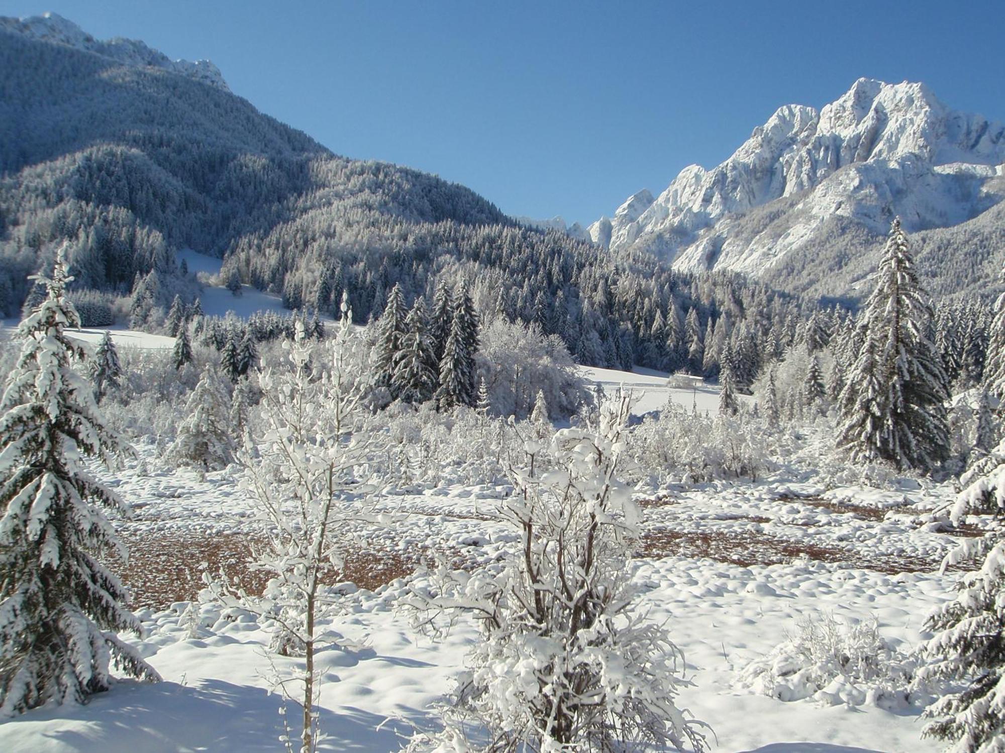 Tempfer 2 Apartments & Rooms With New Wellness Kranjska Gora Exteriör bild